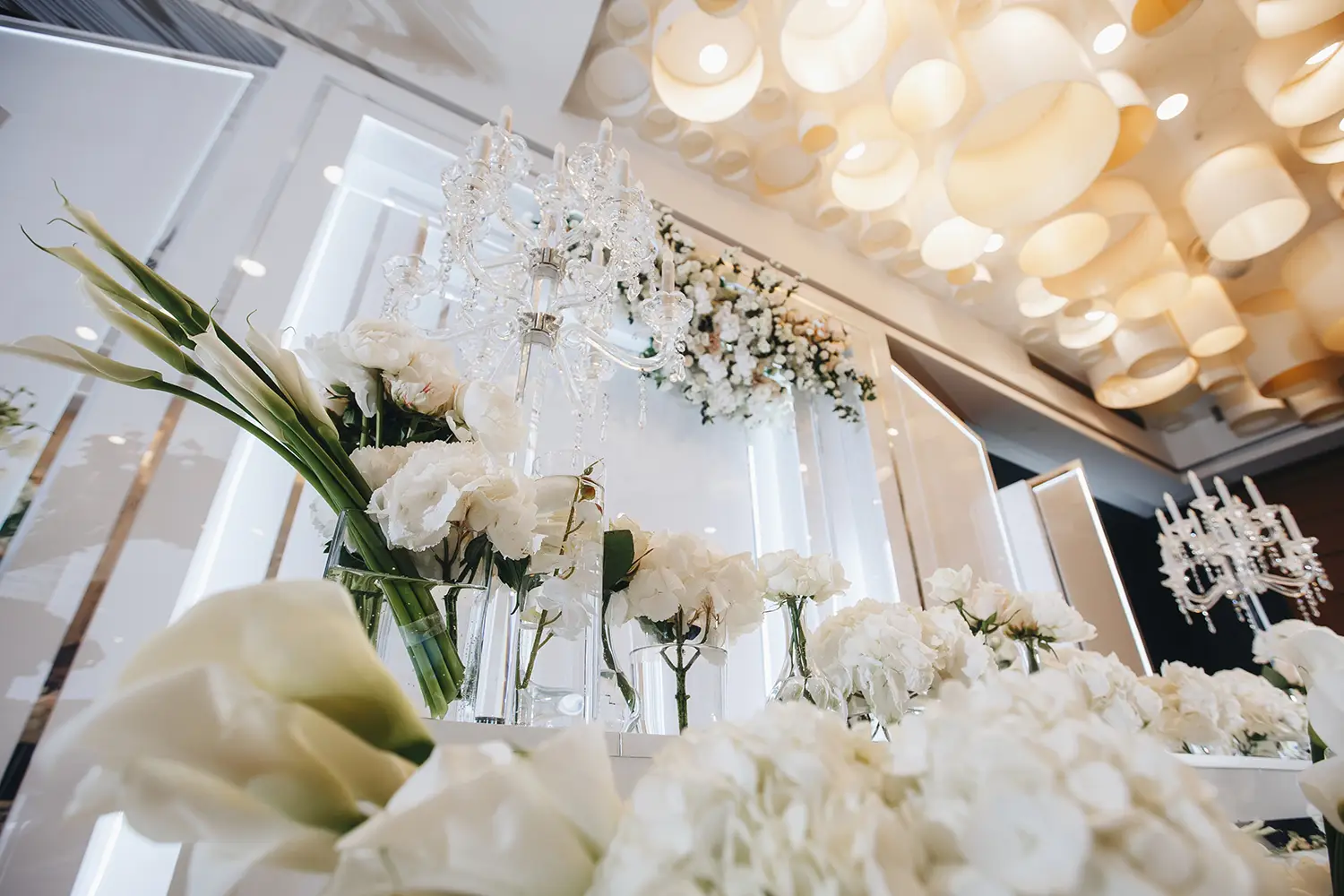 1adad3 Decor Event Decor Tampa Bay Party Rentals Tampa Bay Wedding Decorations Clearwater Event Planning Services Dunedin Corporate Event Decor Largo Birthday Party Supplies Seminole Custom Event Design Oldsmar Outdoor Event Rentals Tarpon Springs Bespoke Wedding Decor Tampa Themed Party Decorations St. Petersburg Elegant Event Furnishings Bradenton Professional Event Decorators Sarasota Personalized Event Styling Tampa Bay Area Luxury Event Decor Rental Tampa Affordable Party Rentals Clearwater Creative Event Themes Lutz Exclusive Event Rentals New Port Richey Full-Service Event Decorating Pinellas Park Unique Wedding Backdrops Holiday Customizable Marquee Letters Tampa Bay