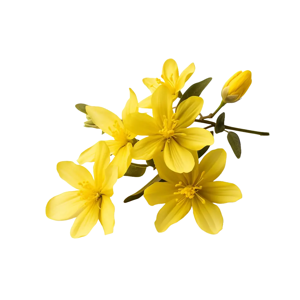 flor amarilla Decor Event Decor Tampa Bay Party Rentals Tampa Bay Wedding Decorations Clearwater Event Planning Services Dunedin Corporate Event Decor Largo Birthday Party Supplies Seminole Custom Event Design Oldsmar Outdoor Event Rentals Tarpon Springs Bespoke Wedding Decor Tampa Themed Party Decorations St. Petersburg Elegant Event Furnishings Bradenton Professional Event Decorators Sarasota Personalized Event Styling Tampa Bay Area Luxury Event Decor Rental Tampa Affordable Party Rentals Clearwater Creative Event Themes Lutz Exclusive Event Rentals New Port Richey Full-Service Event Decorating Pinellas Park Unique Wedding Backdrops Holiday Customizable Marquee Letters Tampa Bay