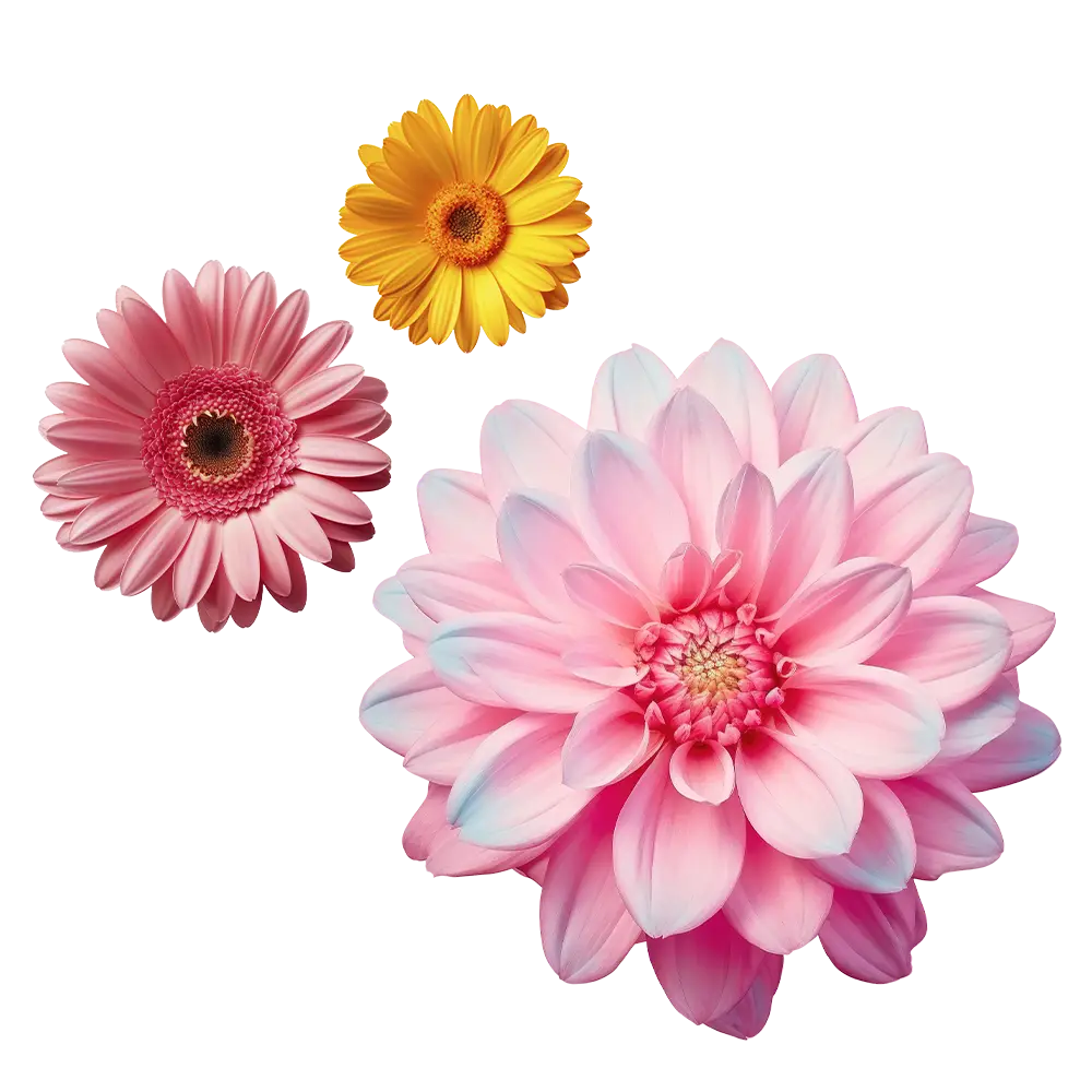 flores arreglo Decor Event Decor Tampa Bay Party Rentals Tampa Bay Wedding Decorations Clearwater Event Planning Services Dunedin Corporate Event Decor Largo Birthday Party Supplies Seminole Custom Event Design Oldsmar Outdoor Event Rentals Tarpon Springs Bespoke Wedding Decor Tampa Themed Party Decorations St. Petersburg Elegant Event Furnishings Bradenton Professional Event Decorators Sarasota Personalized Event Styling Tampa Bay Area Luxury Event Decor Rental Tampa Affordable Party Rentals Clearwater Creative Event Themes Lutz Exclusive Event Rentals New Port Richey Full-Service Event Decorating Pinellas Park Unique Wedding Backdrops Holiday Customizable Marquee Letters Tampa Bay